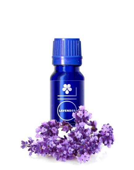 Lavender Essential Oil Lavandula Angustifolia 500ml