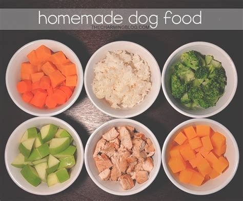 Choosing the Right Shih Tzu Food - Pet Food Guide