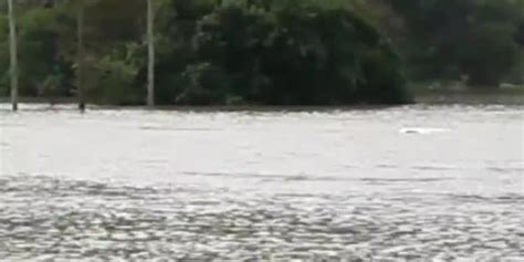 Carro é Carregado Por Correnteza Após Chuva Em Sc E Fica Inundado Com