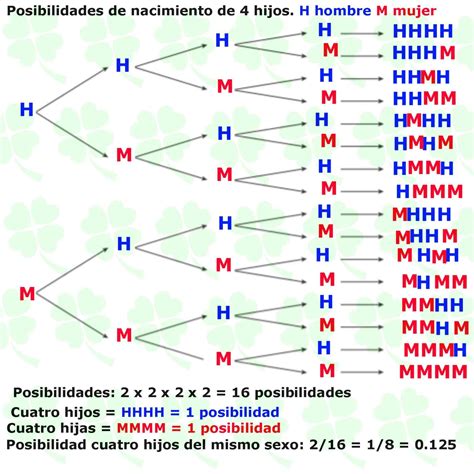 Si Una Pareja Desea Tener 4 Hijos Cual Es La Probabilidad De Tener