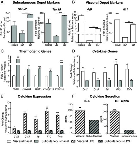 Cells Grown In The Collagen Hydrogels Retain Depot Specific Gene