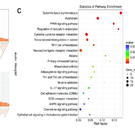 Long Noncoding Rnas Lncrna Mapping Shows Lncrna Distribution In Each