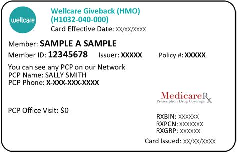 Wellcare Id Card 2024 - Elsy Norean