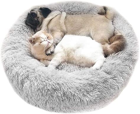 Panier Chat Chien Lit Rond Pour Chats Chiens Peluche Coussin Pour