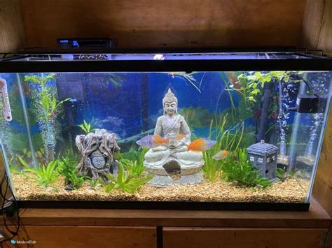 Best Planted Aquarium Lights PAR Tested (2024 Reviews)