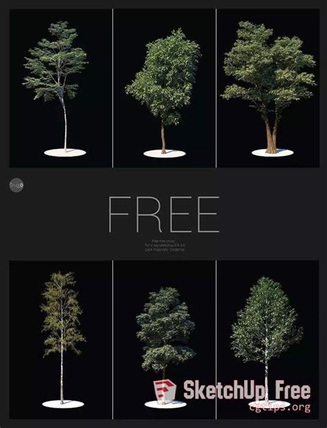 896 Tree Sketchup Model Free Download