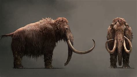 Far Cry Primal Woolly Mammoth Hd Wallpaper Pxfuel