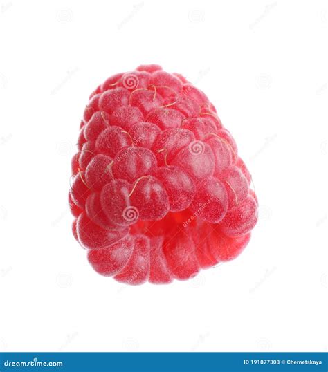 Delicious Fresh Ripe Raspberry Isolated Stock Photo Image Of Closeup