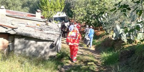 Cade Da Un Albero Durante Il Lavoro Ferito Un Agricoltore Di Acquaro