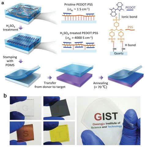 PEDOT PSS For Flexible And Stretchable Electronics Modifications