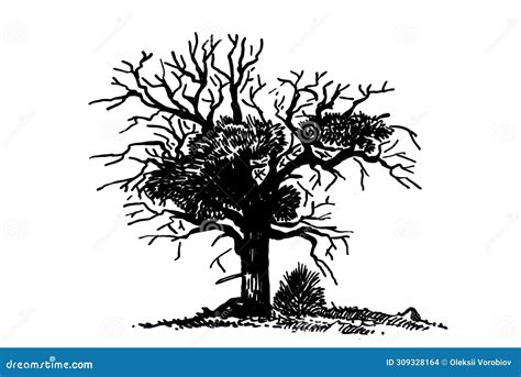 Graphical Silhouette Of Naked Tree On White Background Vector