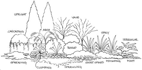 Basic Principles Of Landscape Design Figure 7 Shrub And Groundcover