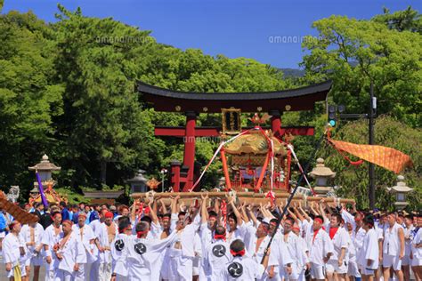 敦賀まつり 神輿渡御 福井県 敦賀市の写真素材 Fyi07926884 ストックフォトの Qlean Market