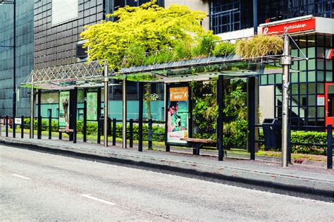 The Green Bus Stop In Eindhoven Was Created As Part Of A Competition