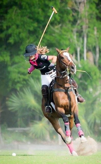 387 Best POLO images in 2020 | Sport of kings, Polo, Polo horse