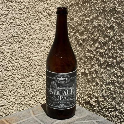 Squall Ipa Dogfish Head Brewery Beer Of The Day