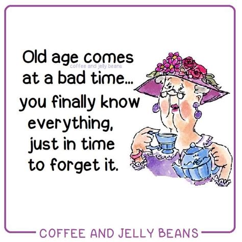 Pin By Bronwyn Myer On Getting Older Quotes Fun Quotes Funny Funny