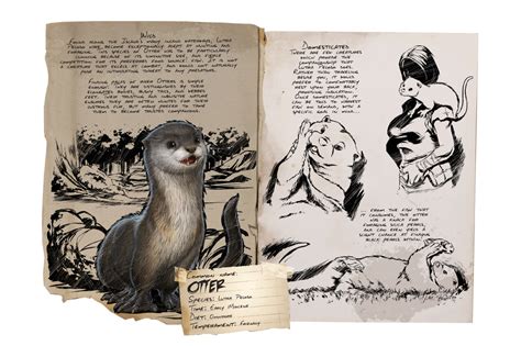 Otter - ARK: Survival Evolved Wiki