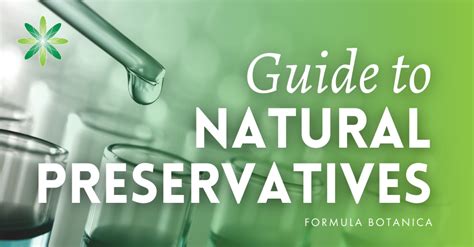 Natural Preservatives for Cosmetics | Everything You Want to Know ...