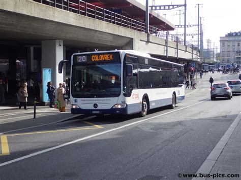 Gare Cornavin Ligne Tpg Bus Pictures