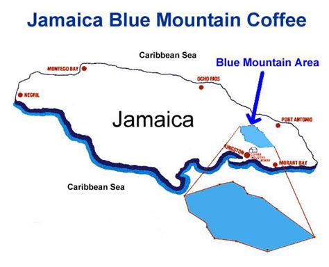 Blue Mountain Coffee Jamaica