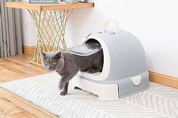 The Best Litter Boxes For Multiple Cats Of Tested And Reviewed