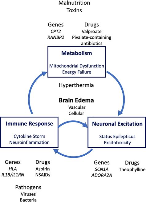 Frontiers Genetic And Environmental Risk Factors Of Acute Infection