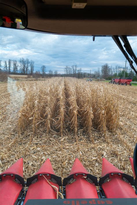 Fall Harvest Richard Pilon Flickr