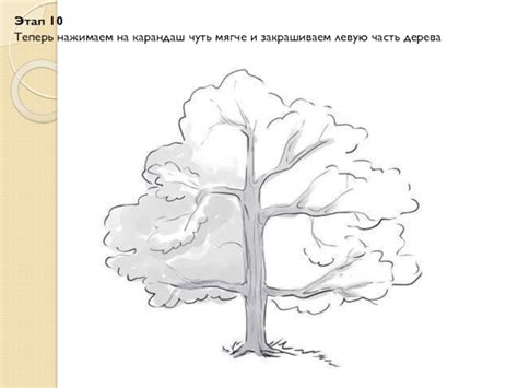 Как нарисовать дерево карандашом презентация, доклад