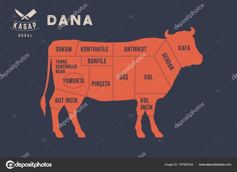 Meat Cuts Poster Butcher Diagram Scheme Dana Beef Cow Typographic Stock Vector By ©foxysgraphic