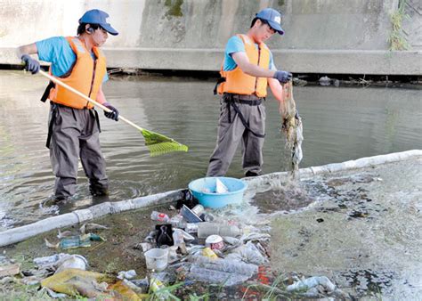 人体影響も県が川でプラごみ調査、レジ袋などビニール類多く「正しく処分を」 100カ所以上でごみ拾へ｜埼玉新聞｜埼玉の最新ニュース・スポーツ