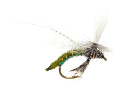 Spotlight Caddis Emerger Fly Tying Video Instructions — In The Riffle