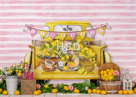 Pink Lemonade Photo Backdrop For Summer Mini Sessions Or Cake Smash