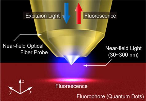 Sensors Free Full Text A Fusion Spliced Near Field Optical Fiber