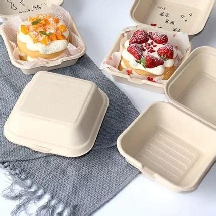 Jual Bagasse Korean Kotak Bento Burger Cake Box Lunch Box Tart Mini Isi