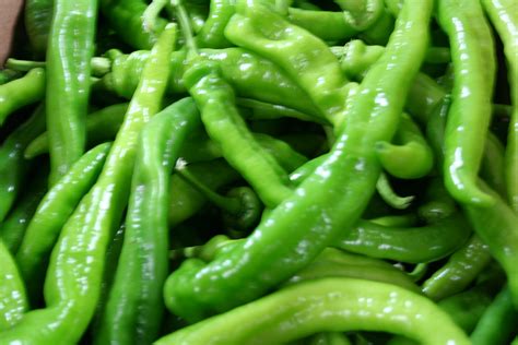 Long Hot Pepper Akin And Porter Produce