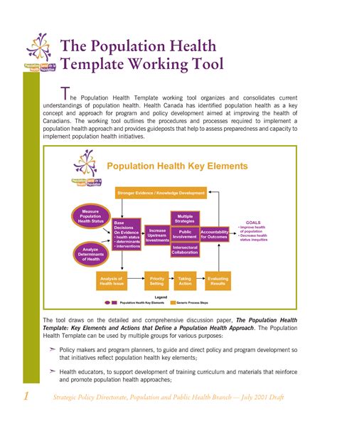 Population Health Tool The Population Health Template Working Tool