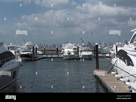 Panama Skyline Of The City From The Marina Of Perico Island At The