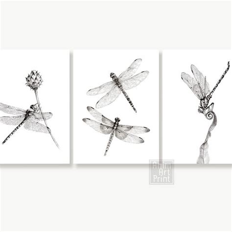 Dragonfly Sketch Insects Black And White Print Two Etsy