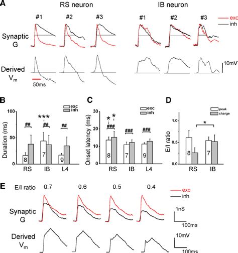 Temporal Properties Of Synaptic Inputs To Different Types Of Neurons A