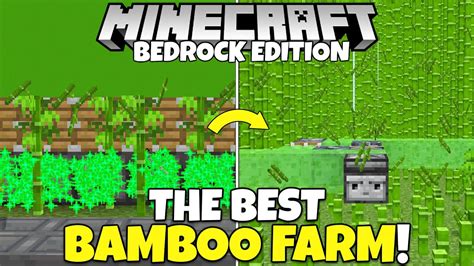 What Is The BEST BAMBOO Farm In Minecraft Bedrock Edition Easy Bamboo