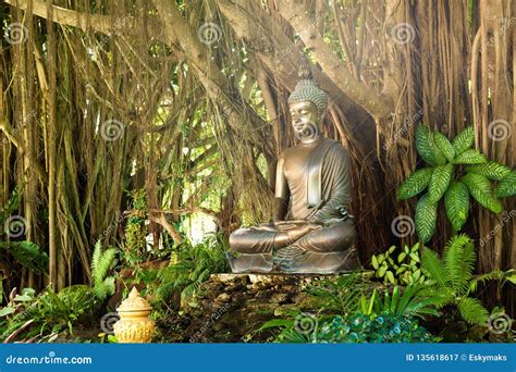 Buddha Statue In Naturethailand Stock Image Image Of Sculpture