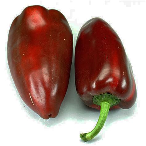 Cobanero Red Pimiento Semillas 2 0 Chilisamen Shop