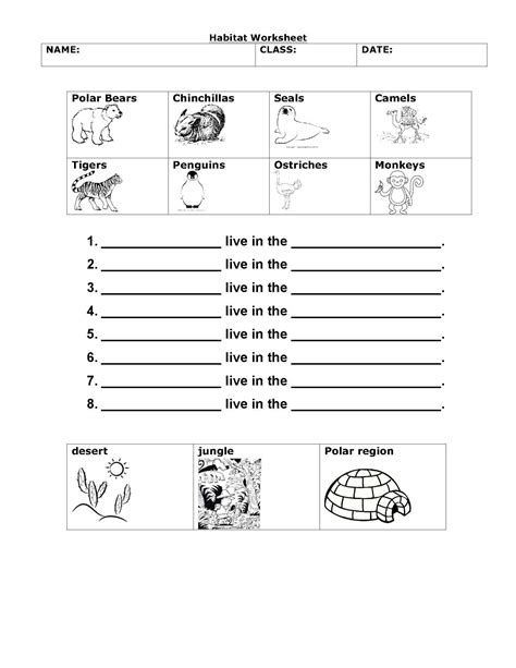 Plants Habitat Worksheets For Grade 1