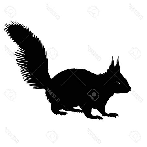 Squirrel Silhouette Vector at Vectorified.com | Collection of Squirrel Silhouette Vector free ...