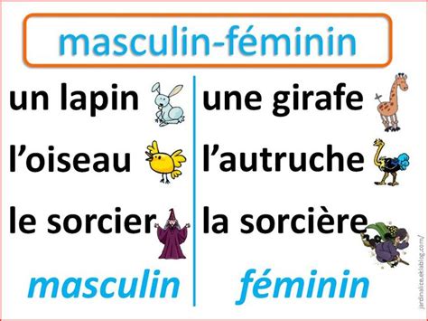 grammaire au ce1 exercices le genre les accords déterminants