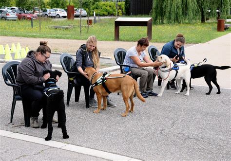 Cernay Portes ouvertes à lécole de chiens guides daveugle