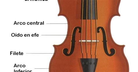 Aprende Violonchelo Descripción Del Violonchelo