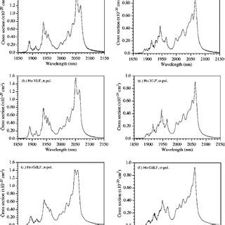 Polarized Absorption Cross Sections Of The Tm H In Lulf And Ylf