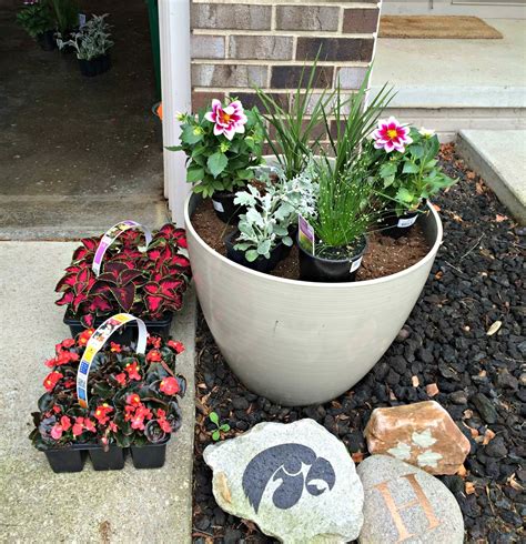 Container Garden For Shade Ideas To Try This Year Sharonsable